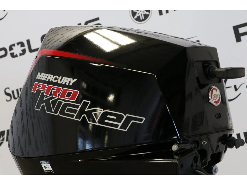 Mercury Mercury 9.9elpt Ct Pk Efi À Démarreur Élèctrique, Long (20 Pouces) 2026 alt