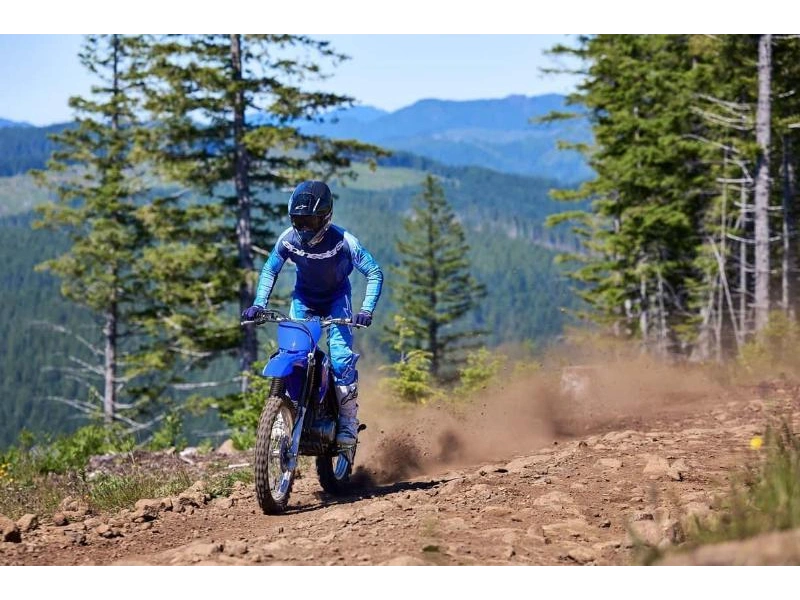 2026 Yamaha Tt-r230 alt