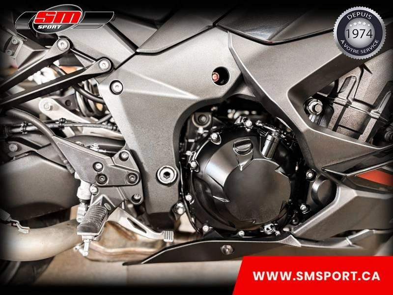 Kawasaki Ninja 1000 Sx 2023 alt