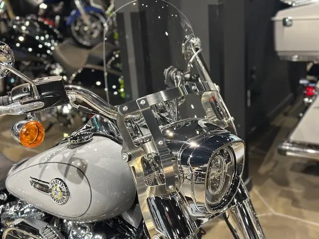 Harley-Davidson FATBOY 114 FLFBSFLFBS 2024
