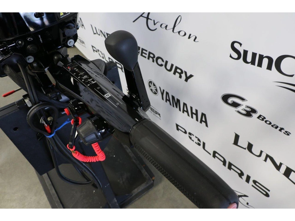 2026 Mercury Mercury 15eh À Démarreur Élèctrique alt