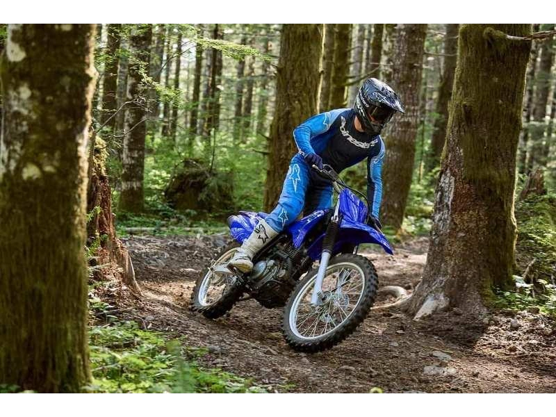 2026 Yamaha Tt-r230 alt