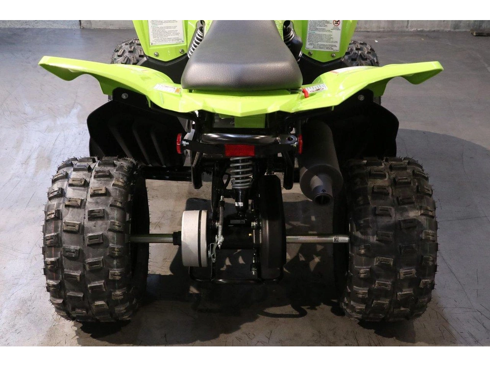 2026 Yamaha Raptor 110 alt