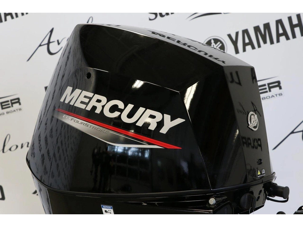 2026 Mercury Mercury 30elhpt Démarreur Électrique, Long (20 Pouces) alt