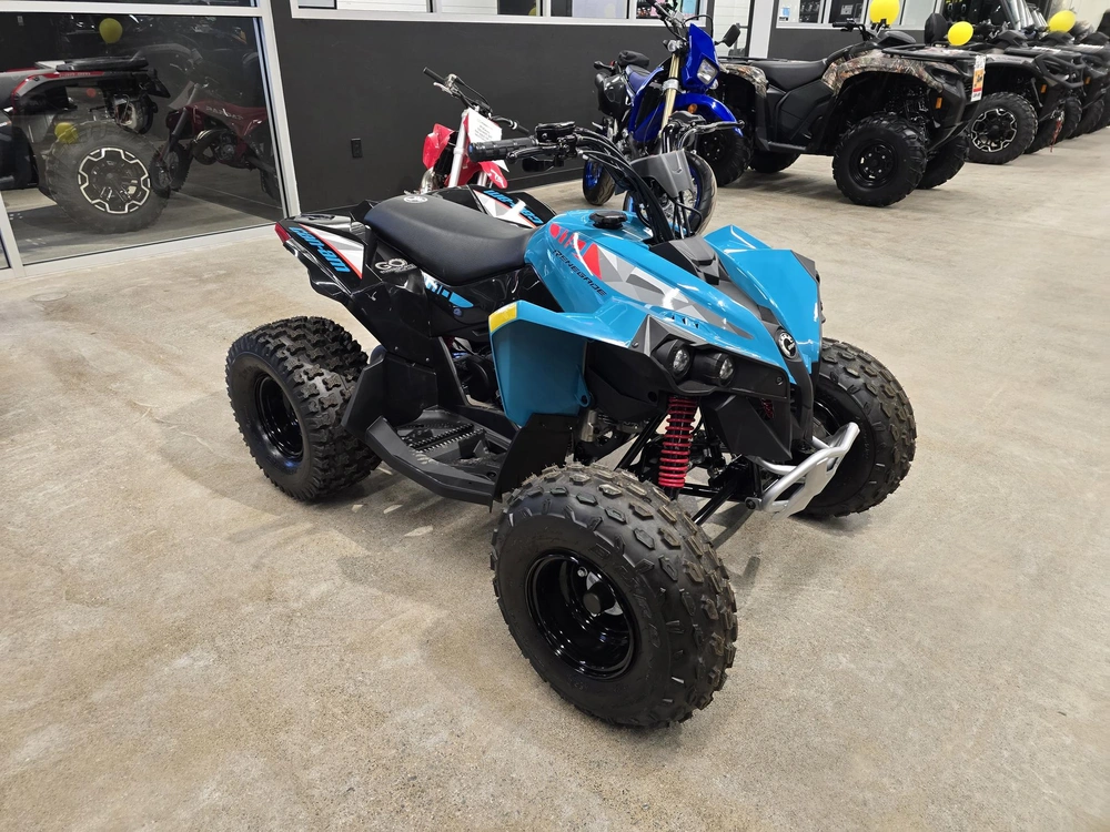 2026 Brp Renegade 110 Efi (can) alt