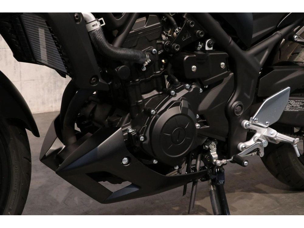 Yamaha Yamaha Mt-03 Enr. Mt03arb 2024 alt