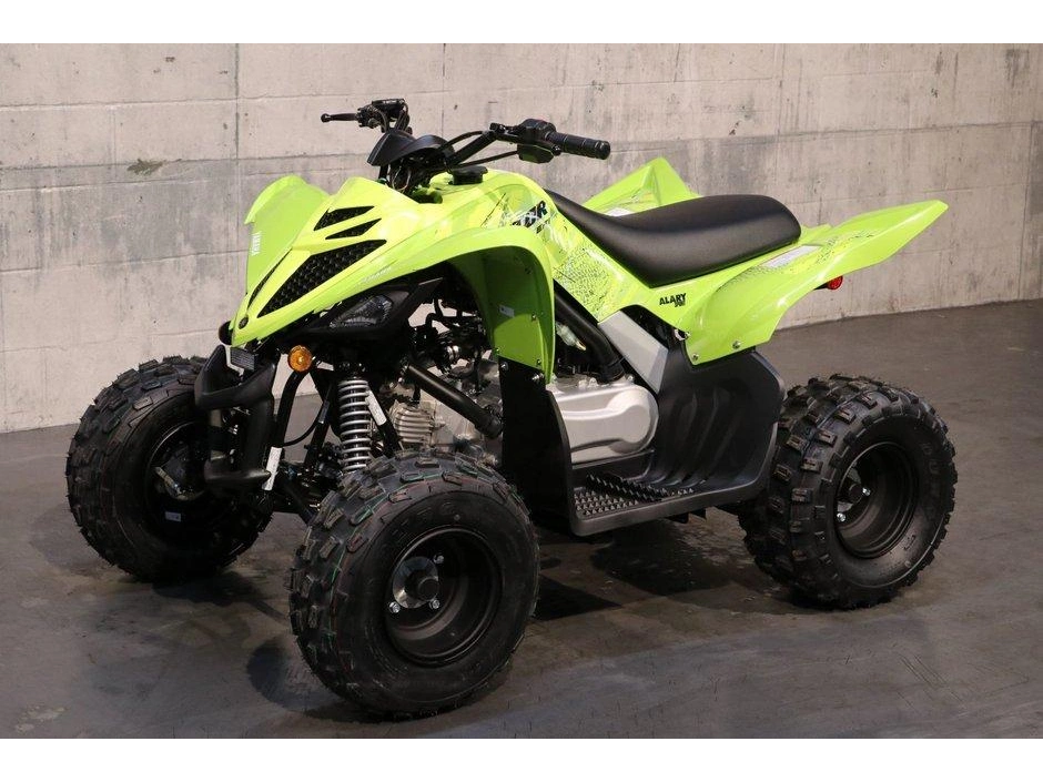 2026 Yamaha Yamaha Raptor 110 alt