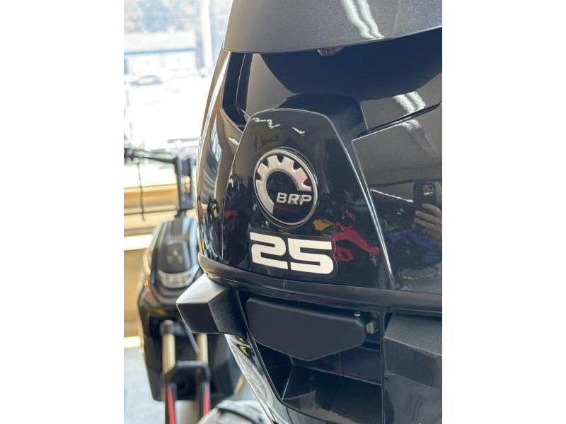 Evinrude 25hp À Barre/corde/manuel 20po 2017 alt