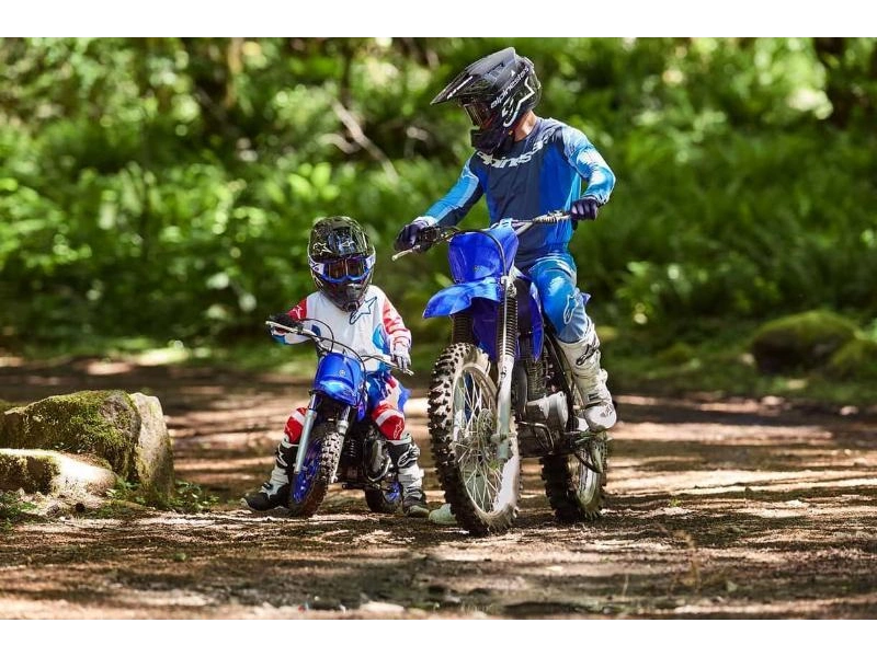 2026 Yamaha Tt-r230 alt