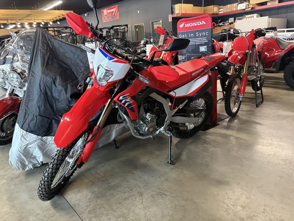 2025 Honda CRF300LAS DUAL SPORT