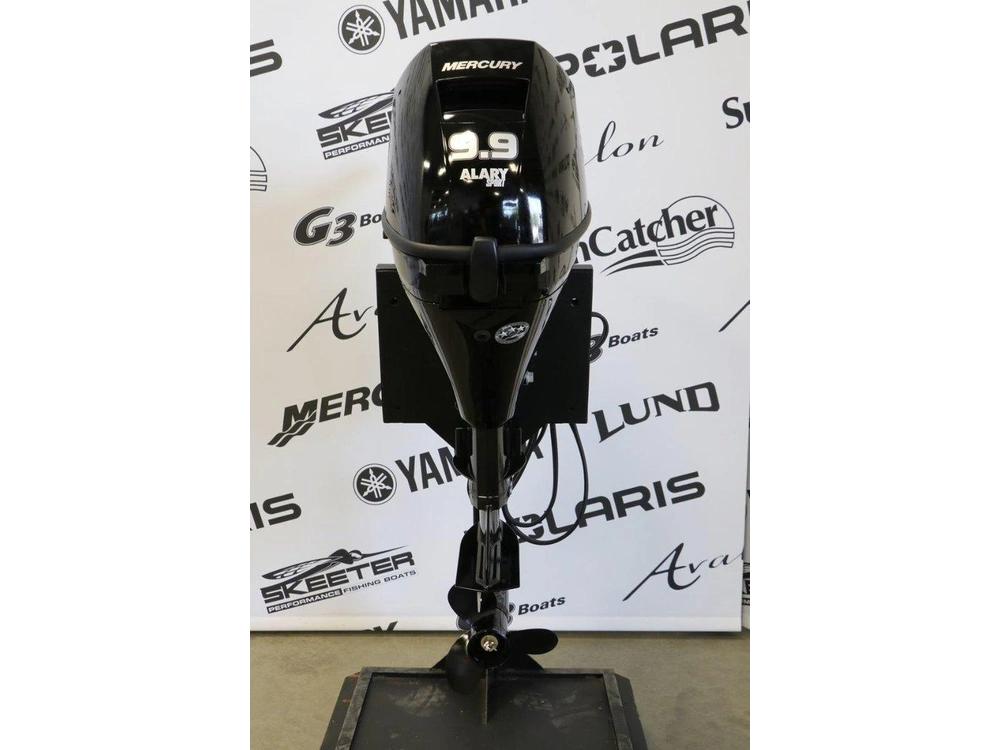 2026 Mercury Mercury 9.9eh Efi À Démarreur Élèctrique, Court (15 Pouces) alt