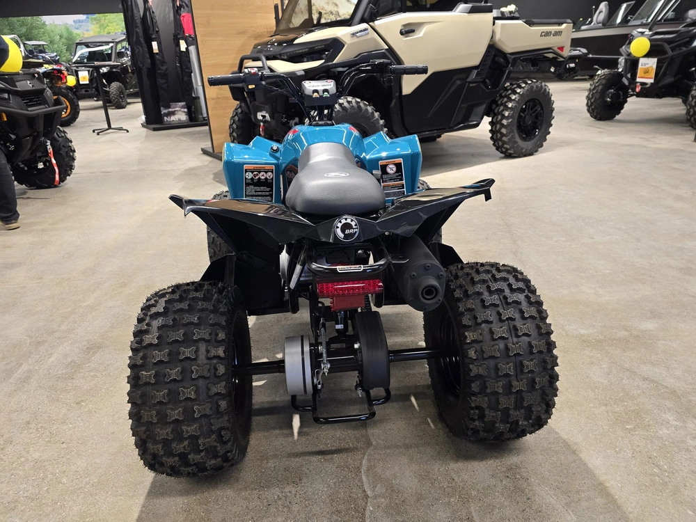 2026 Brp Renegade 110 Efi (can) alt