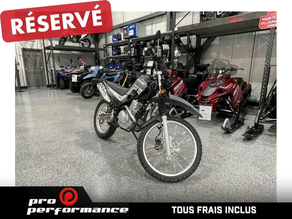 2025 Yamaha Xt250 alt