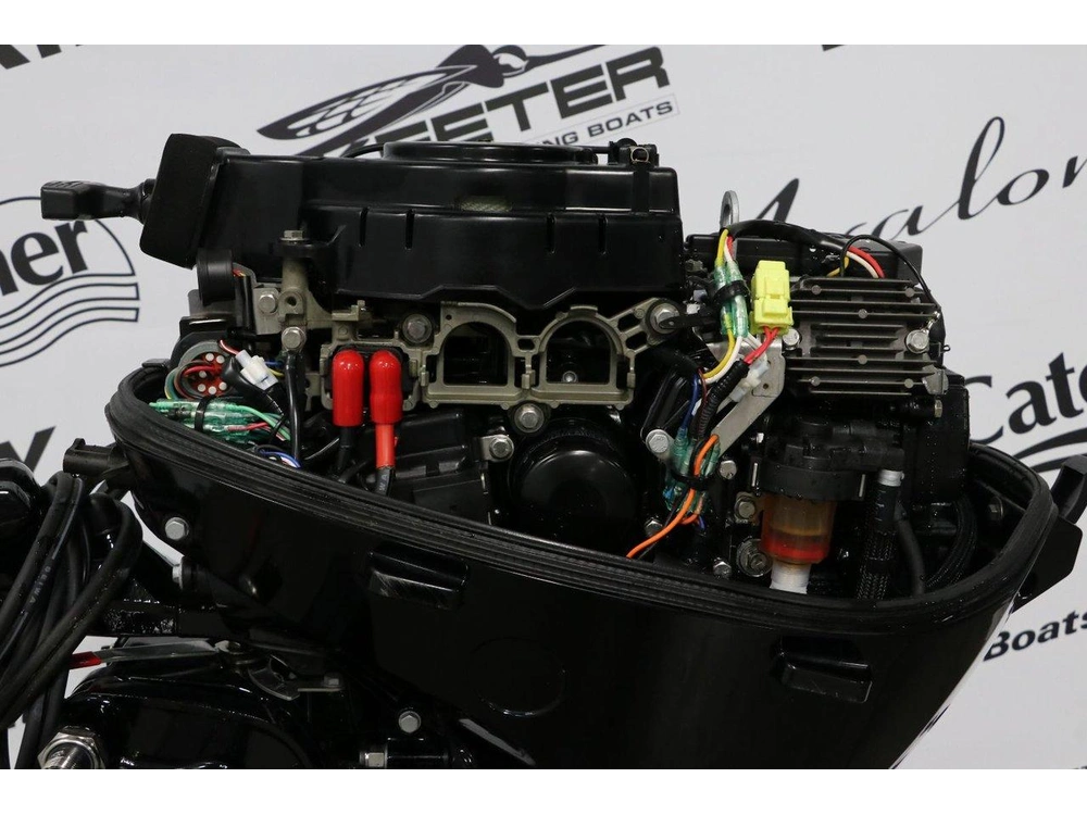 Mercury Mercury 20elh À Démmarreur Élèctrique Long (20 Pouces) 2024 alt