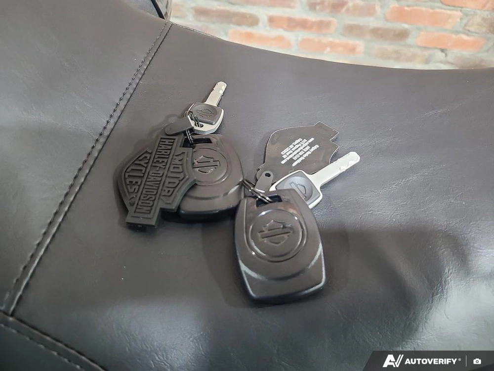 2026 Harley-davidson Low Rider St alt