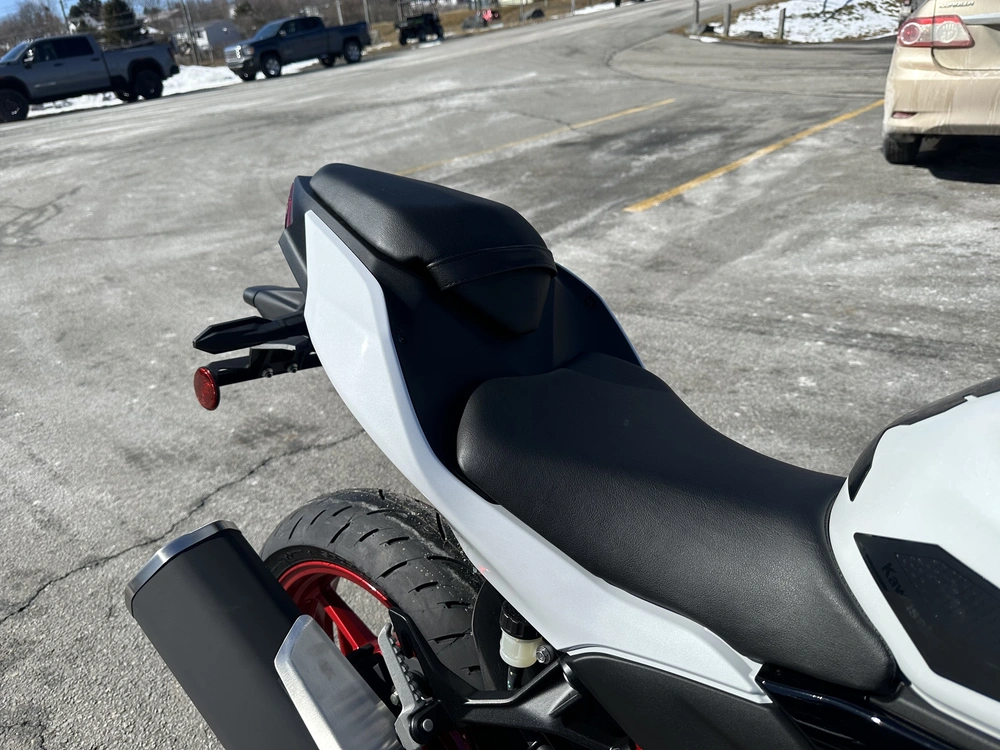 2026 Kawasaki Z 500 Se Abs alt