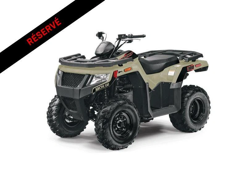 2024 Arctic Cat Alterra 300 alt