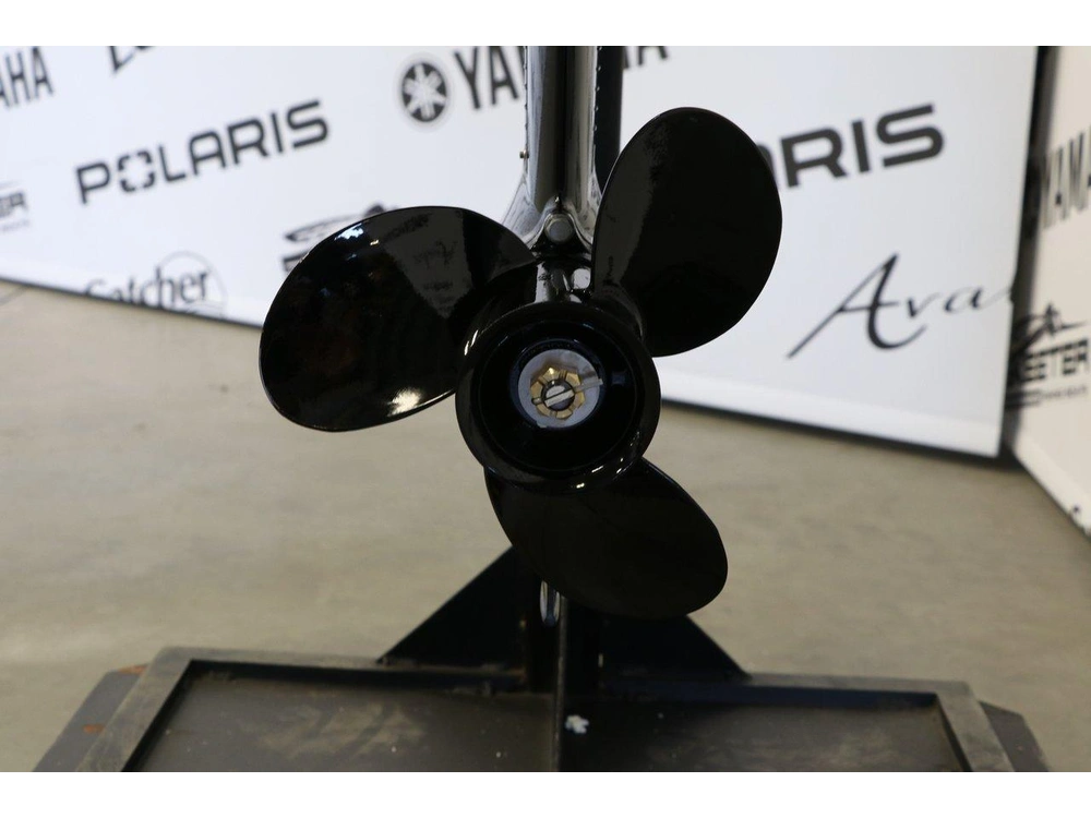 2026 Mercury Mercury 15eh À Démarreur Élèctrique alt