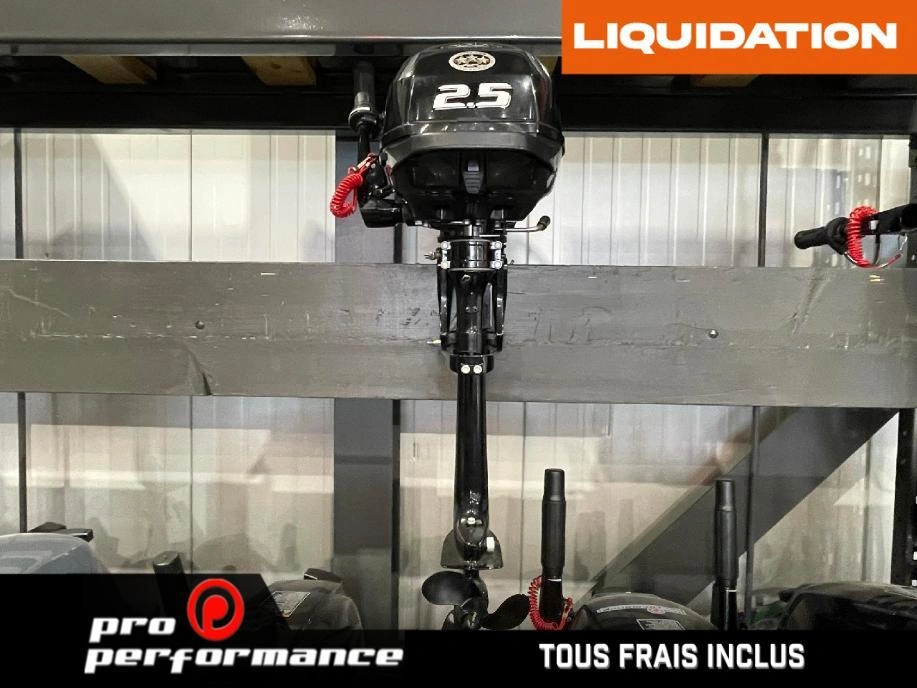 2022 Suzuki Moteur Hors-bord Df2.5s alt