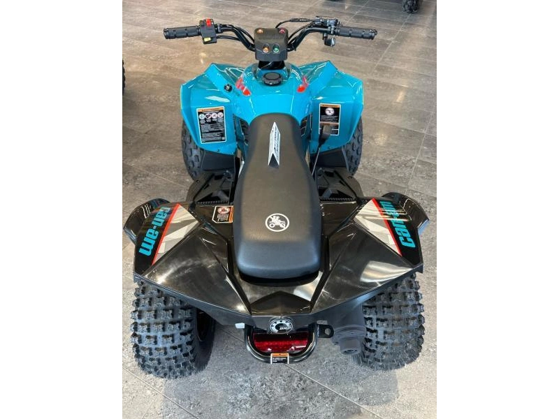 Can-am Renegade 70 Efi 2025 alt