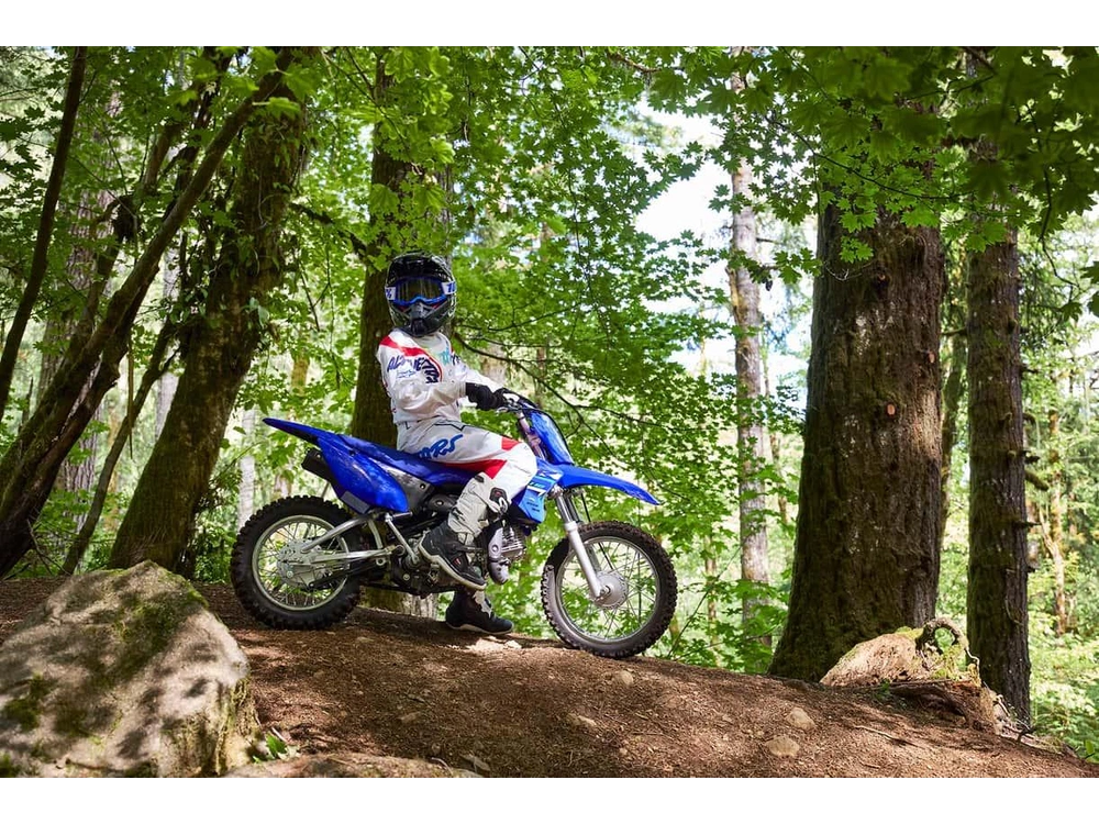 Yamaha Tt-r 110 2026 alt