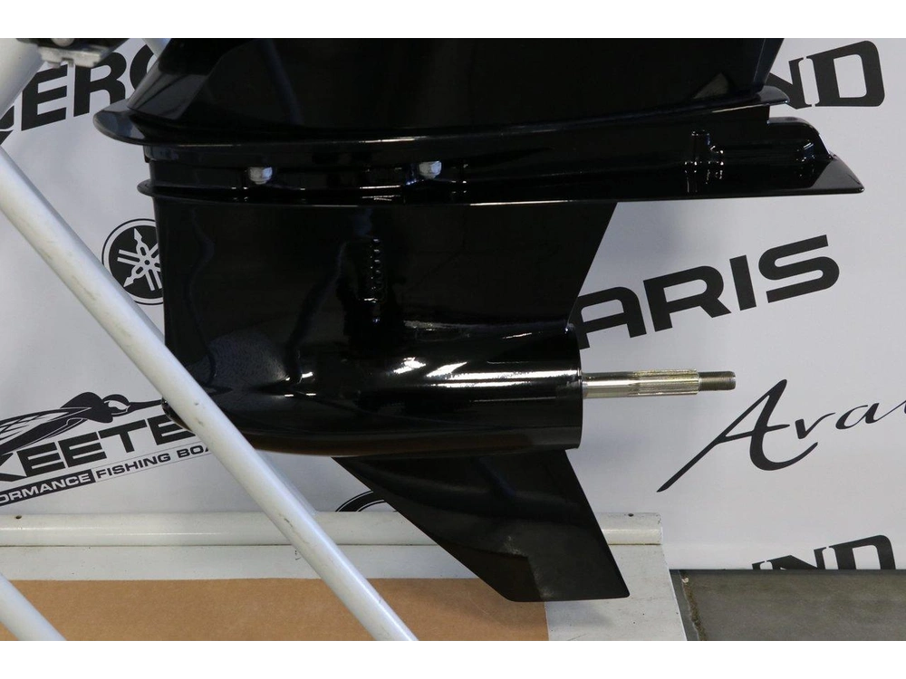 Mercury Mercury 200l Dts (xl) Converti 25 Pouces 2022 alt