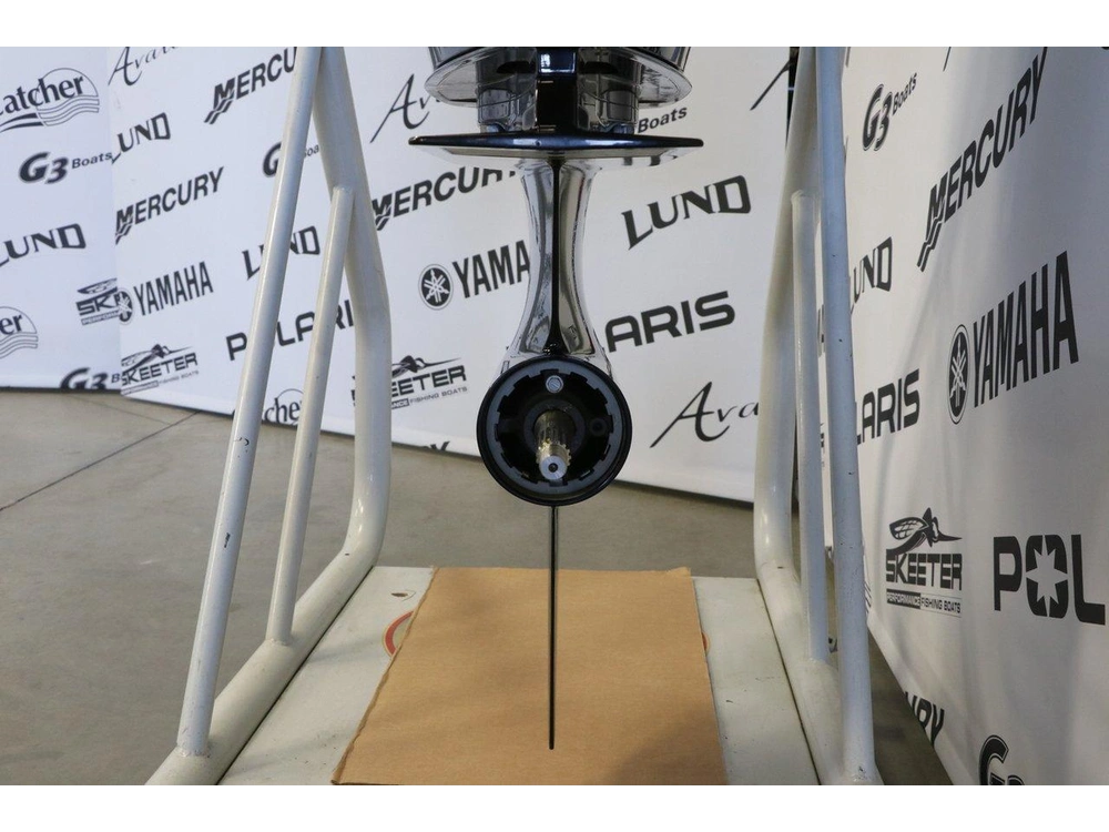 Mercury Mercury 200l Dts (xl) Converti 25 Pouces 2022 alt