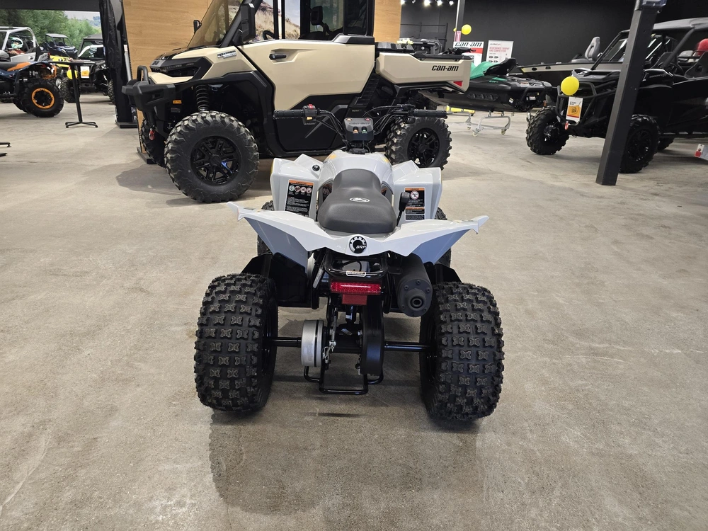 2026 Brp Renegade 70 Efi alt