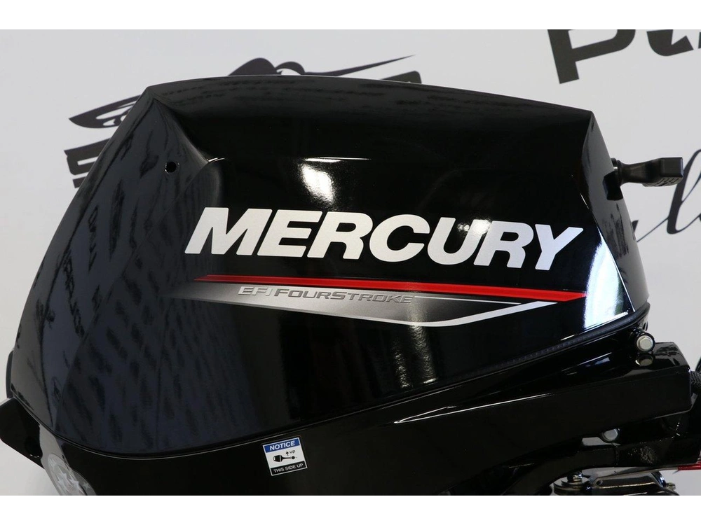 2026 Mercury Mercury 15eh À Démarreur Élèctrique alt