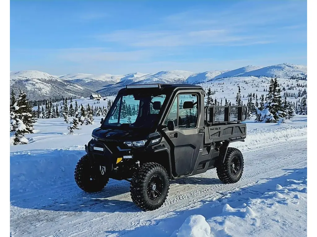 Can-Am DEFENDER PRO LIMITED HD10 2022