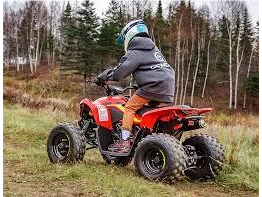 Cfmoto Cforce 110 Classic 2026 alt