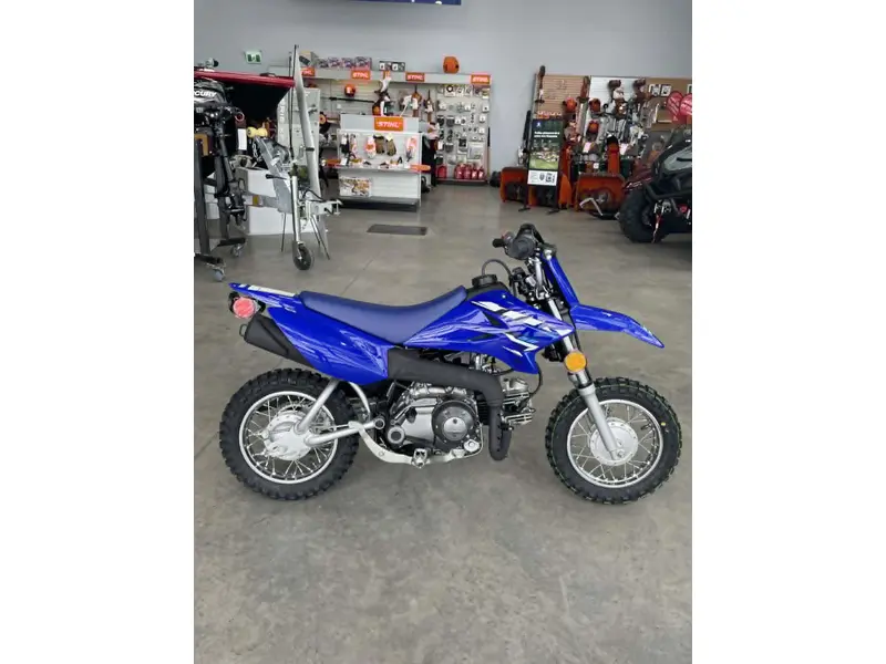 2026 Yamaha TTR50