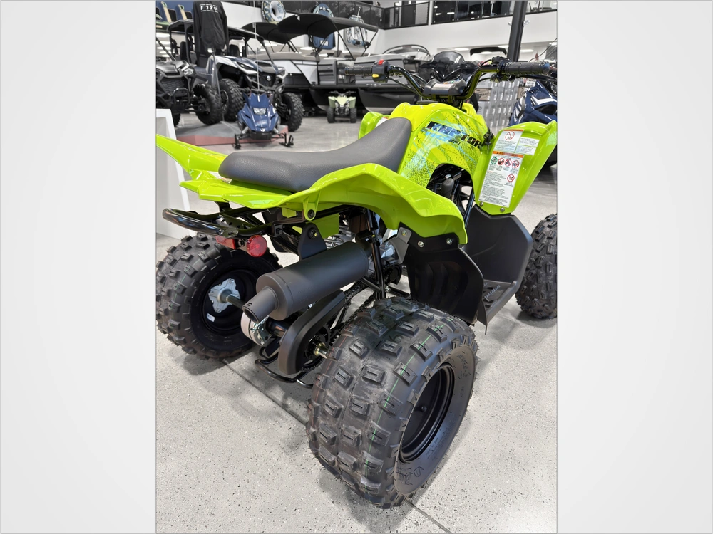 2026 Yamaha Raptor 110 alt