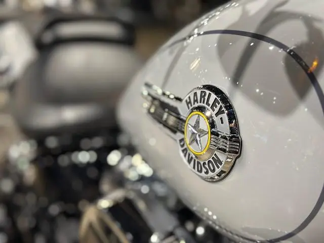 Harley-Davidson FATBOY 114 FLFBSFLFBS 2024