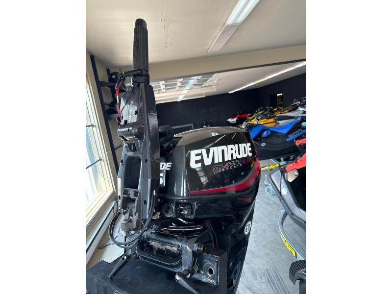 Evinrude 25hp À Barre/corde/manuel 20po 2017 alt