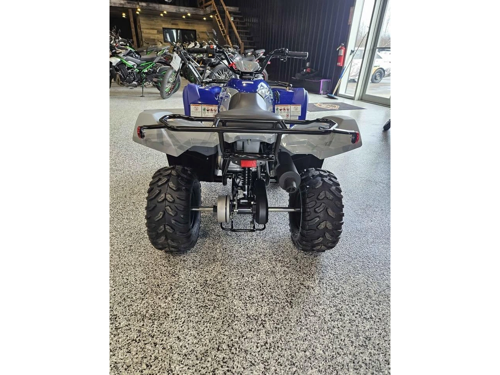 Yamaha Grizzly 110 2026 alt