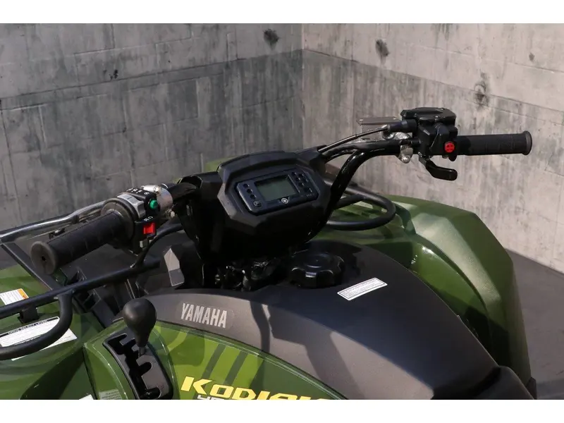 2026 Yamaha Yamaha KODIAK 450 DAE