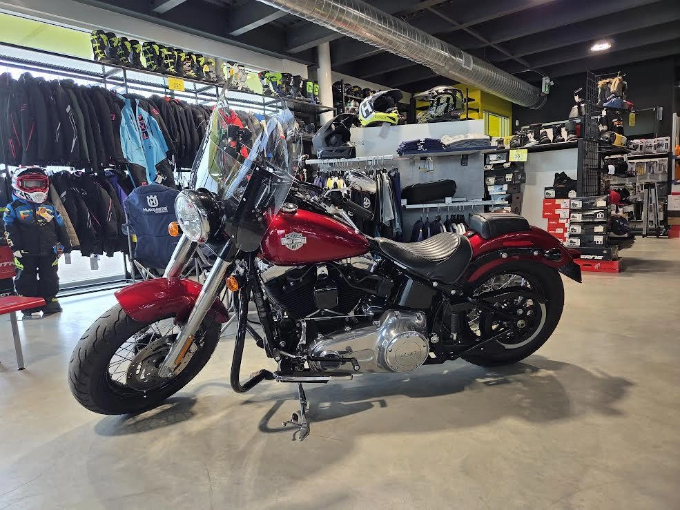 Harley-davidson Fls Slim 1690 2013 alt