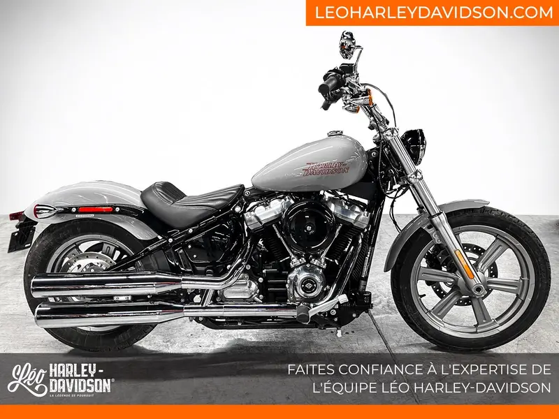 Harley-davidson Fxst Softail Standart 2024 alt