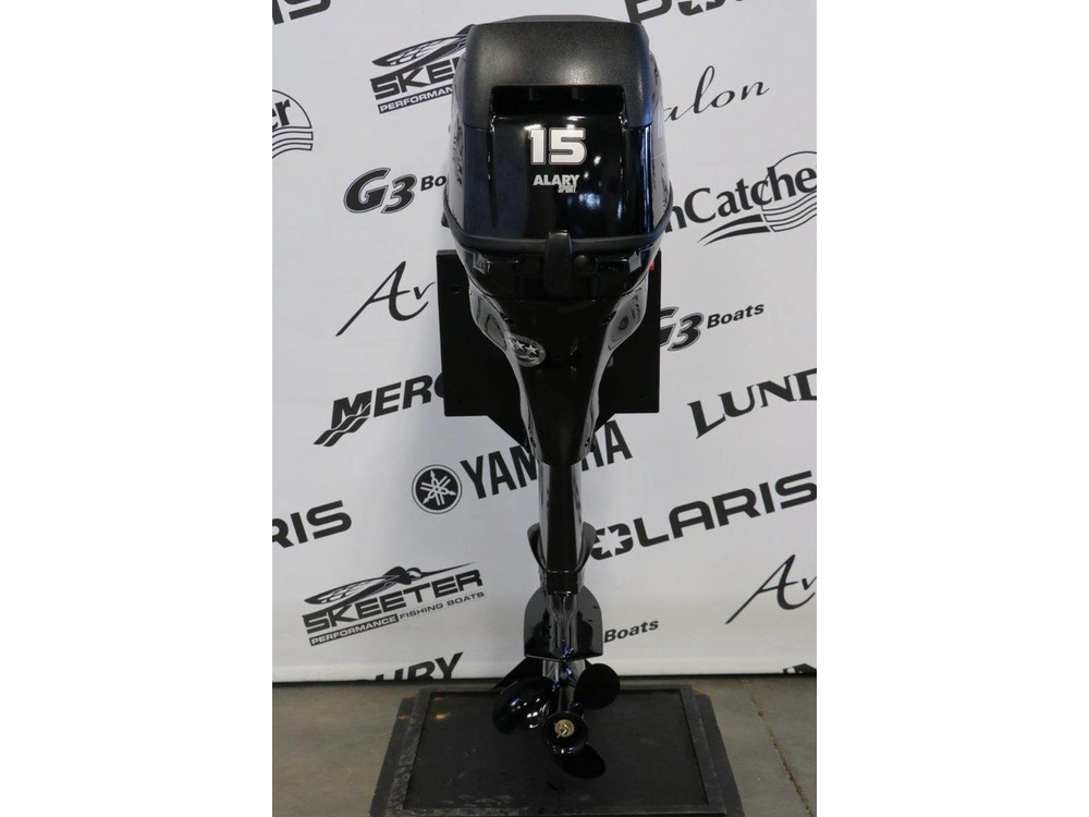 2016 Mercury Mercury 15mlh Long (20 Pouces) alt