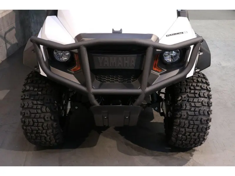Yamaha VOITURETTE DE GOLF UMAX RALLY EFI 2025