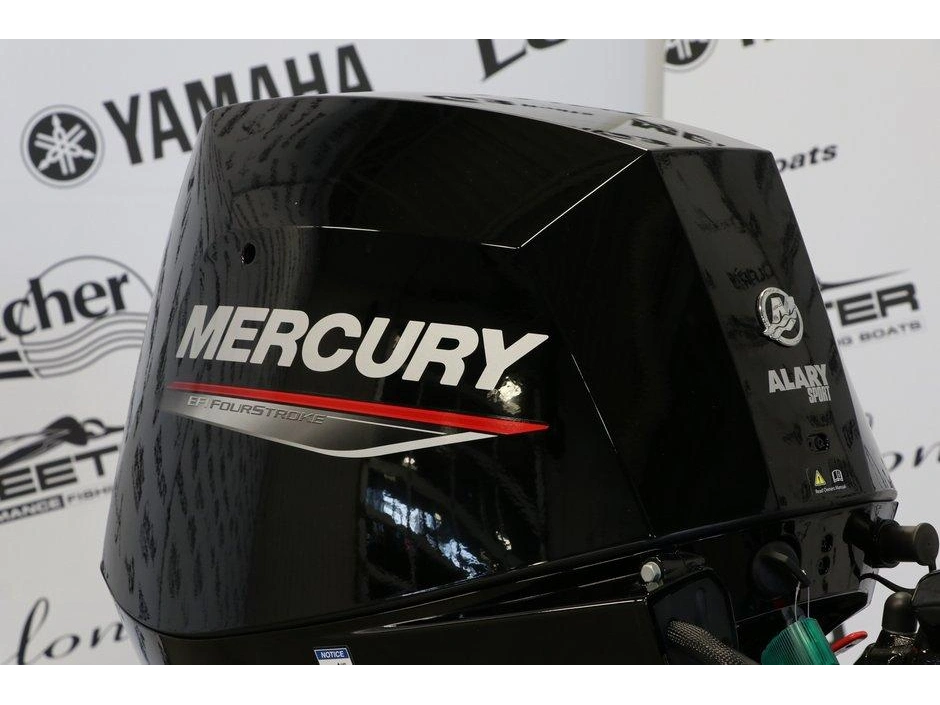 Mercury Mercury 25elh Démarreur Électrique, Long (20 Pouces) 2026 alt