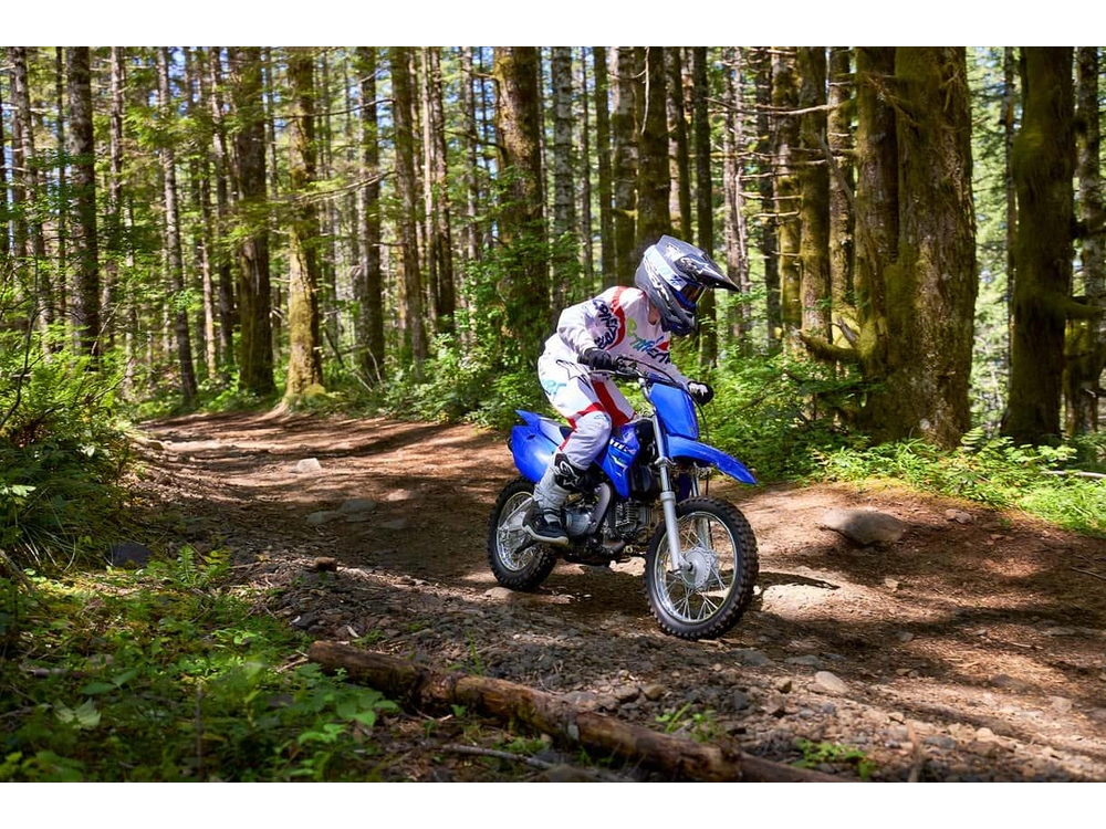 Yamaha Tt-r 110 2026 alt