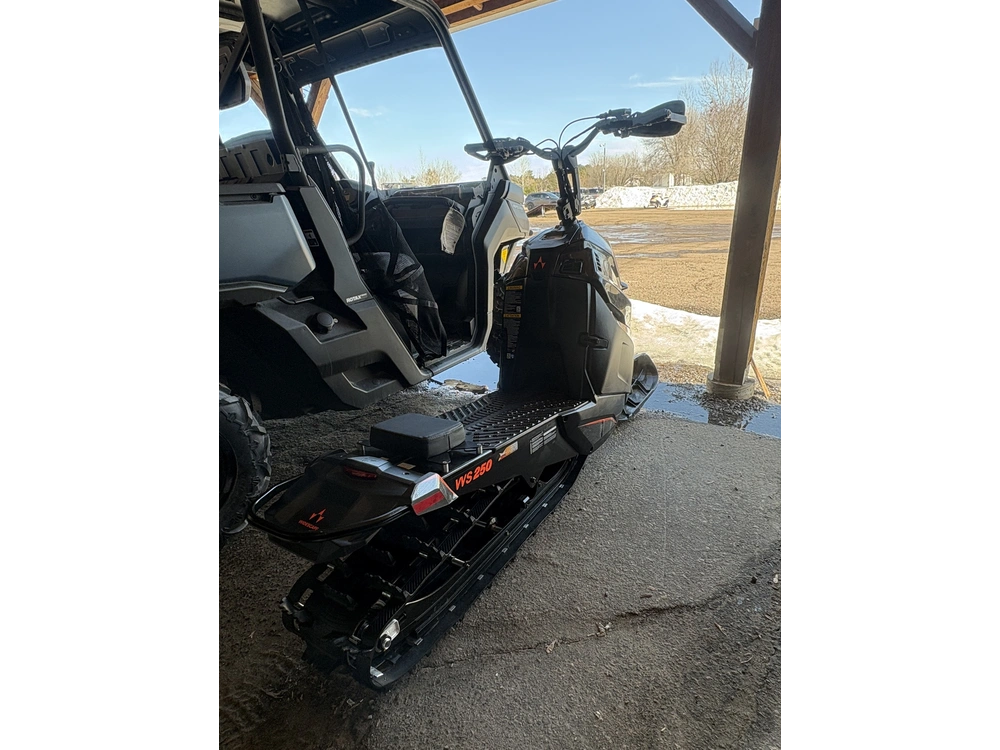 2024 Widescape Ws250 alt