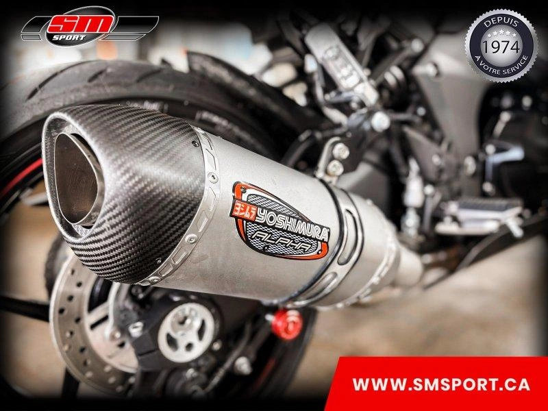 Kawasaki Ninja 1000 Sx 2023 alt