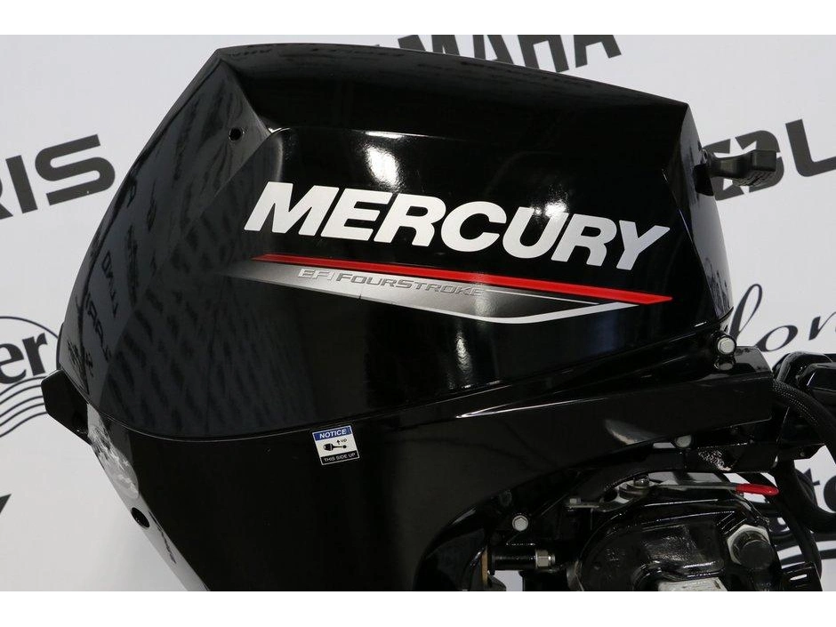 2022 Mercury Mercury 15elh À Démarreur Électrique, Long (20 Pouces) alt