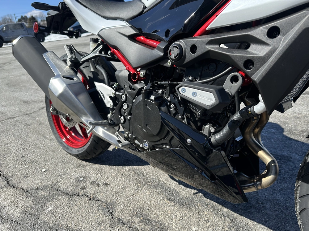 2026 Kawasaki Z 500 Se Abs alt