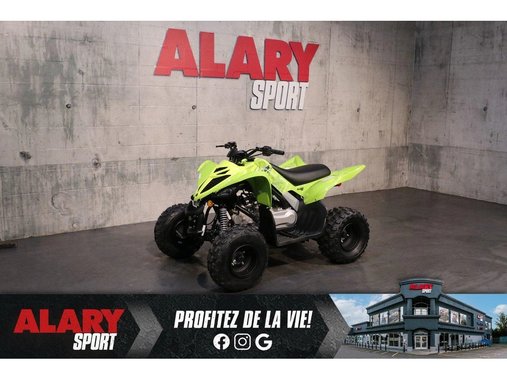 2026 Yamaha Raptor 110 alt