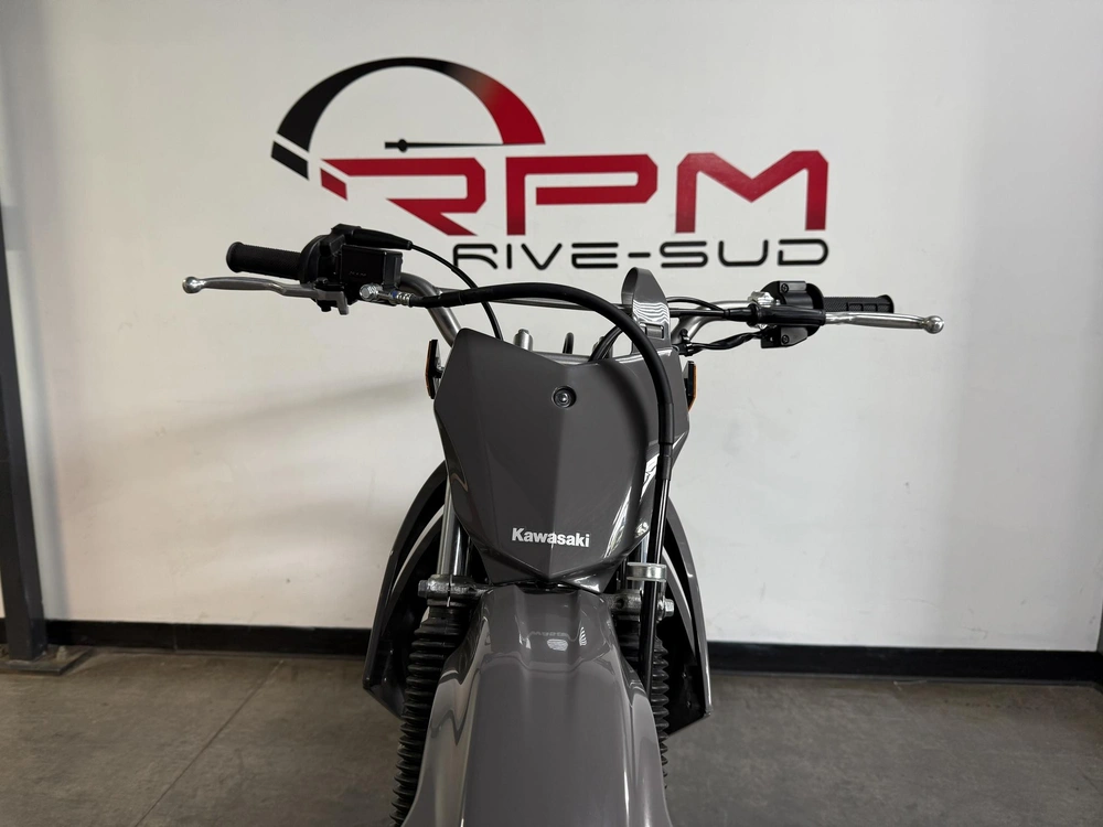 2025 Kawasaki Klx140r F alt