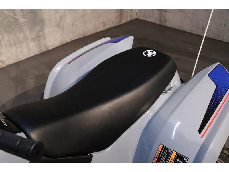 2026 Polaris Polaris Phoenix 200